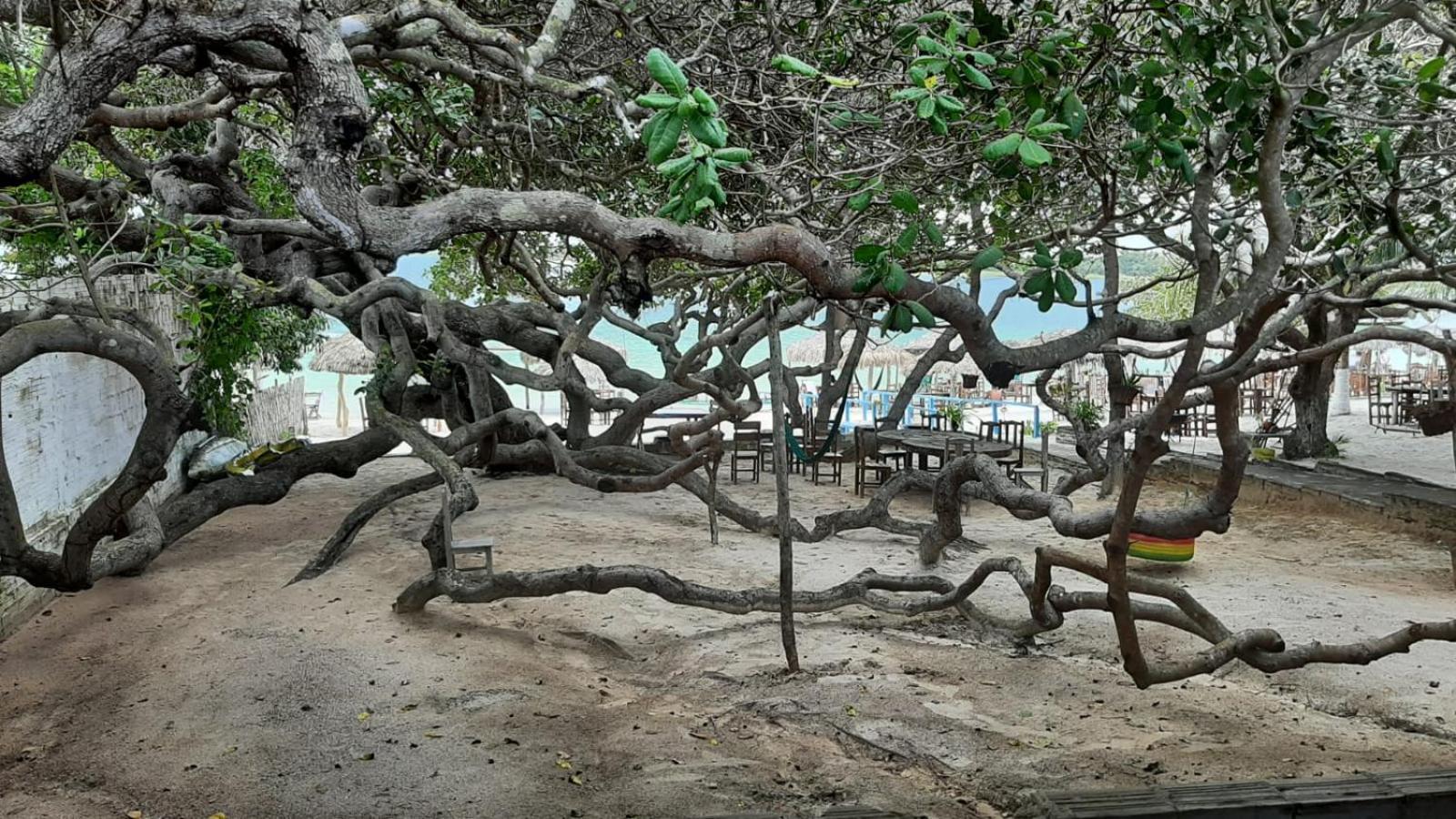 Ferienwohnung Jangaloa Jijoca de Jericoacoara Exterior foto